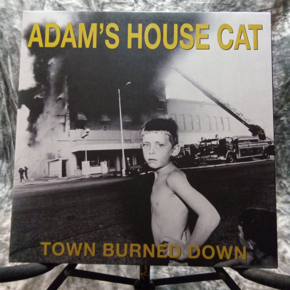 Adam's House Cat-Town Burned Down