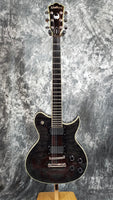 Washburn  WI66ANC Nick Cantanese Signature